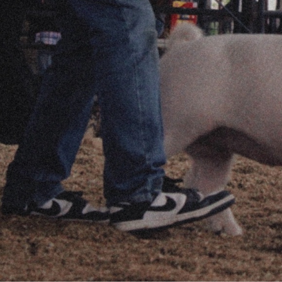 07dwd07